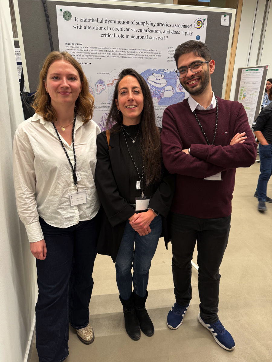 Ausschreibung für ein Altarbild für die Gedenkfeier des Instituts für Klinisch-Funktionelle Anatomie