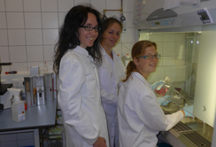 Dr.in Katja Eckl (li) mit den Praktikantinnen: Inge Stipsitz & Sophie Eichhorner. Foto: MUI