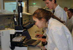 Auch SchülerInnen vom Franziskanergymansium Hall i. T. nahmen an den Open Labs Days teil: Lucie Bürgi beim Blick durch das Mikroskop.