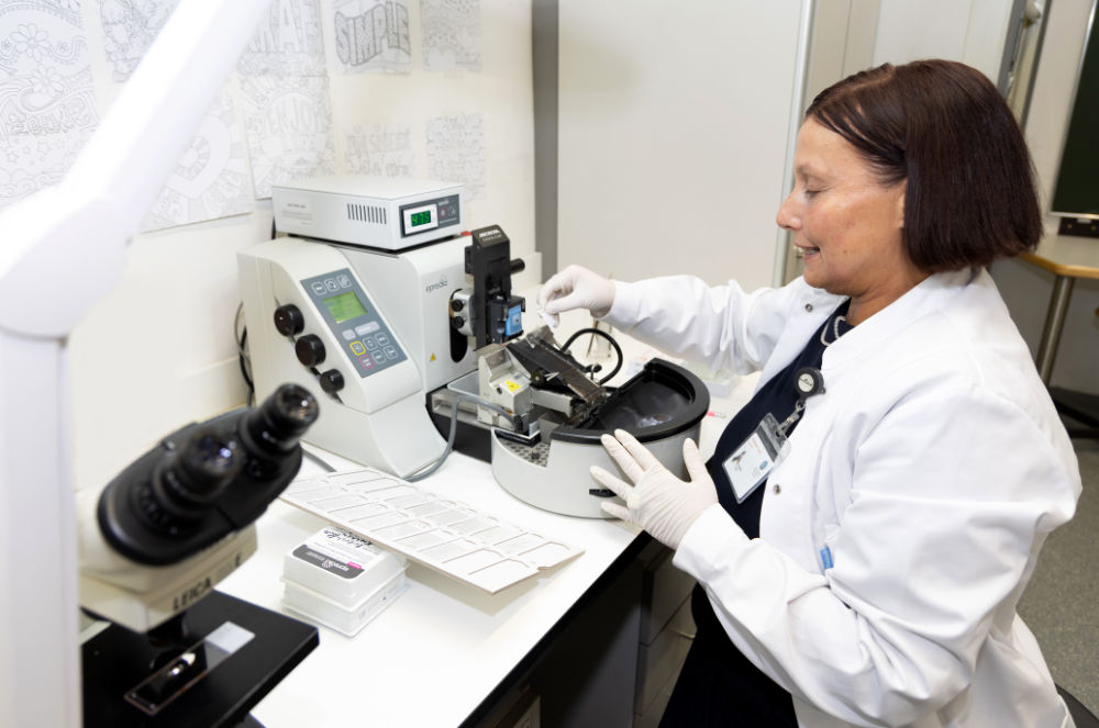 BU: Annabella Knab bei der Arbeit im histologischen Labor. (Foto: MUI/D. Bullock)