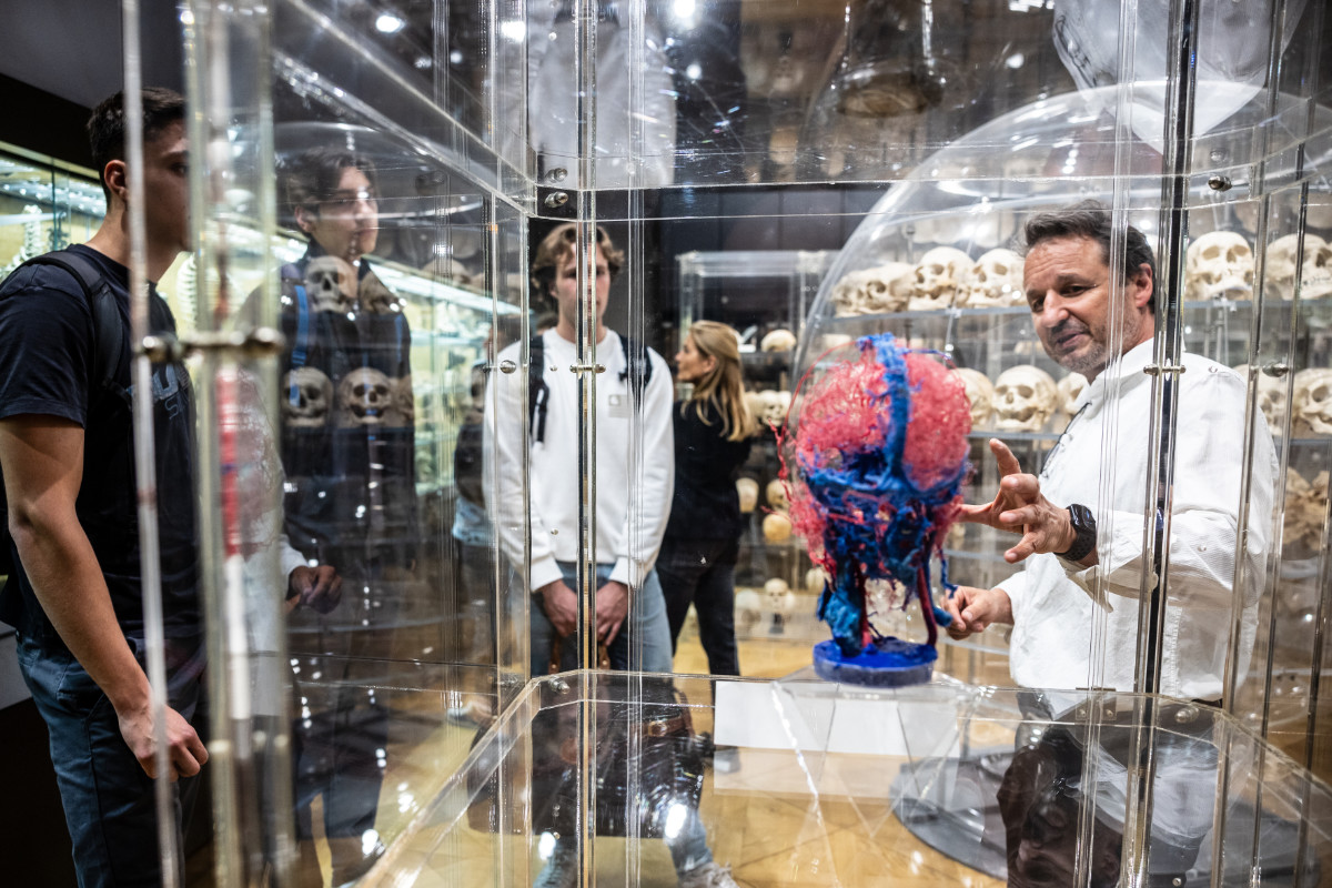 BU: Romed Hörmann führt durch die Anatomische Sammlung des Instituts für Klinisch-Funktionelle Anatomie. (Foto: MUI/F. Lechner)